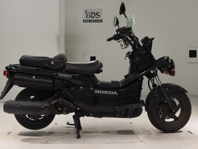 Honda PS250 BIG RUCKUS 2006