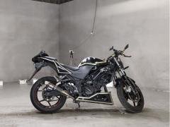 Kawasaki NINJA250R 2012