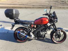 Yamaha XSR125 2024