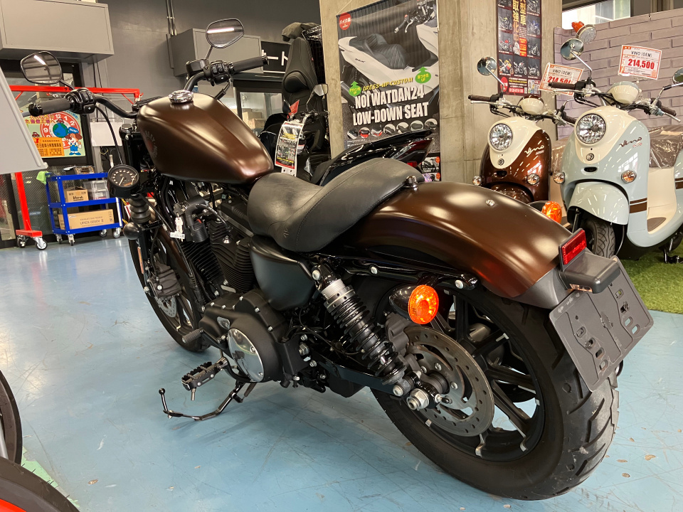 HD SPORTSTER IRON XL883N 2019