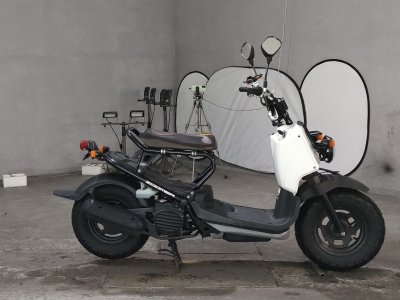 Honda ZOOMER 2012