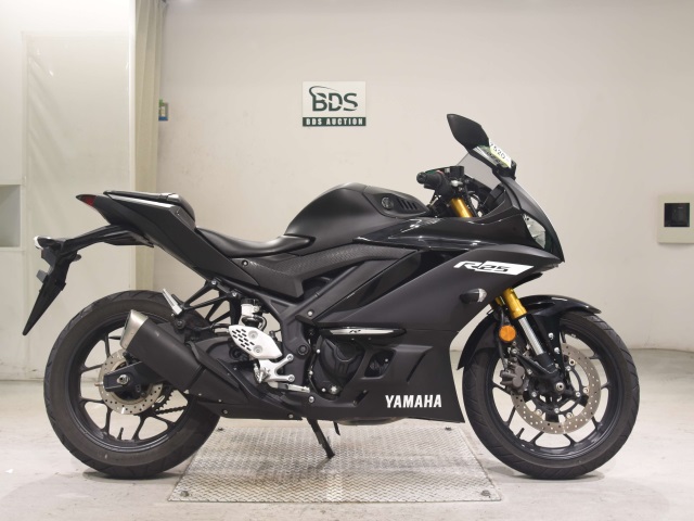 Yamaha YZF-R25 2019