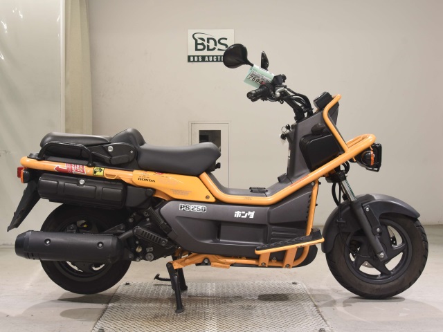 Honda PS250 BIG RUCKUS 2004