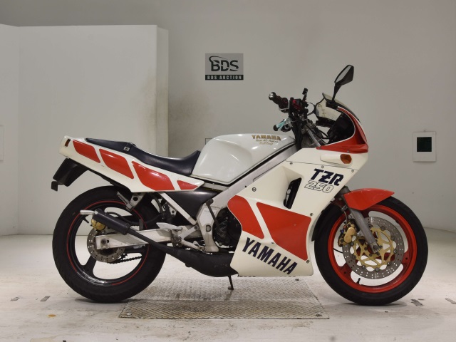 Yamaha TZR250