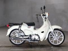 Honda SUPER CUB110 2022