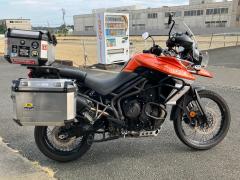 Triumph TIGER800XC 2019