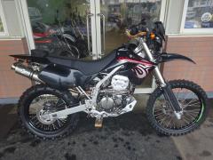 Kawasaki D-TRACKER250 2004