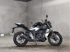 Yamaha MT-25 2016