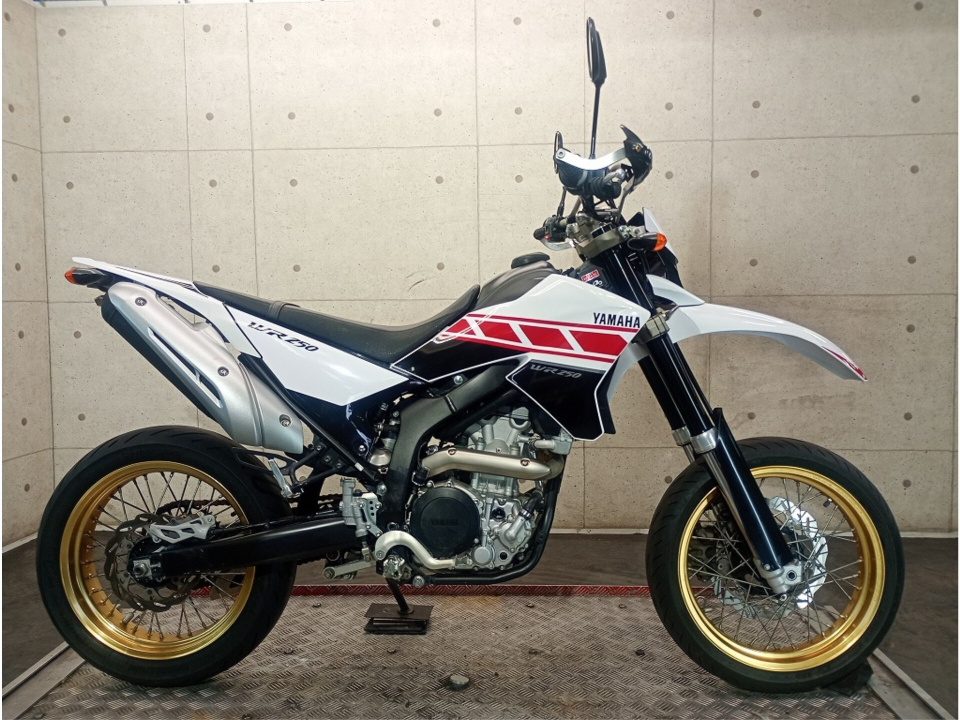 Yamaha WR250X 2009