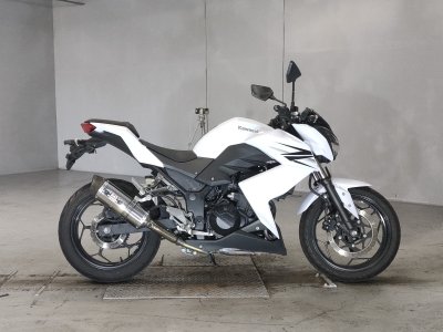 Kawasaki Z250 2013