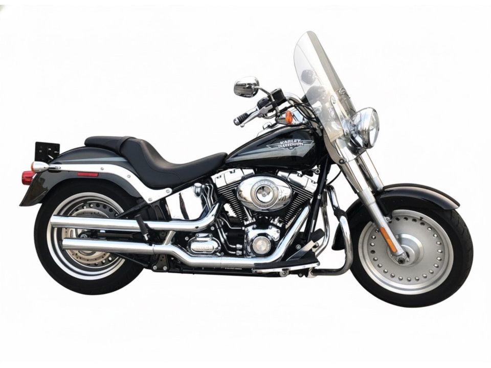 HD FATBOY FLFB1745 2009