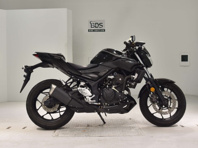 Yamaha MT-25 2019