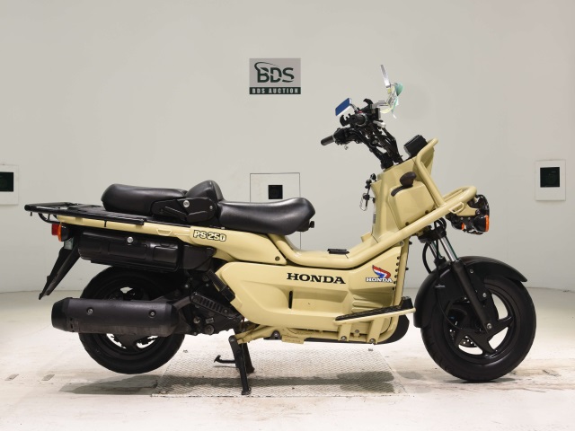 Honda PS250 BIG RUCKUS 2006