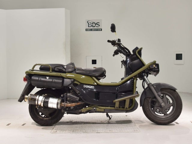 Honda PS250 BIG RUCKUS 2004
