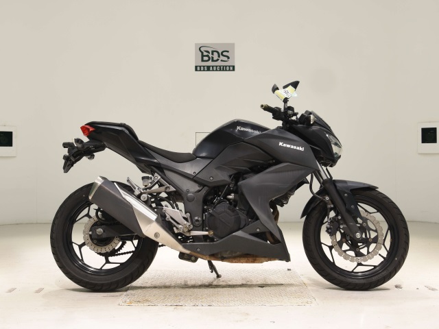Kawasaki Z250 2013
