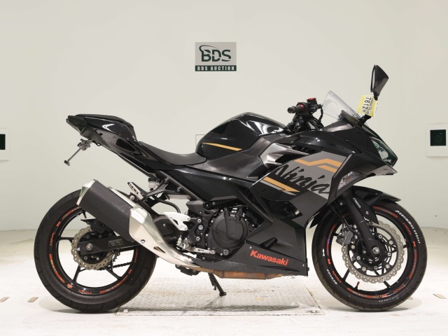 Kawasaki NINJA250 2020