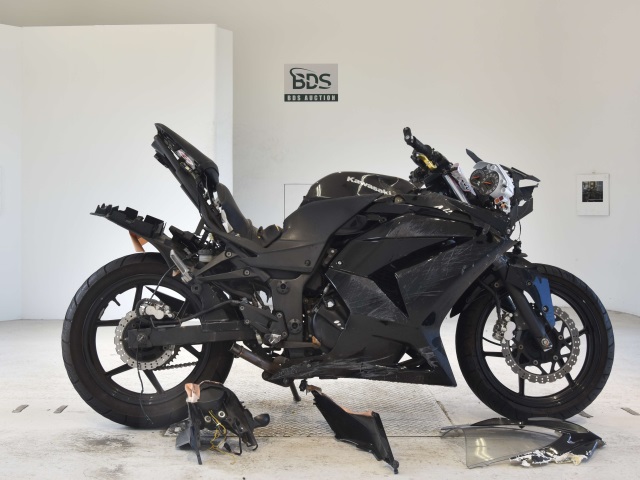 Kawasaki NINJA250R 2009