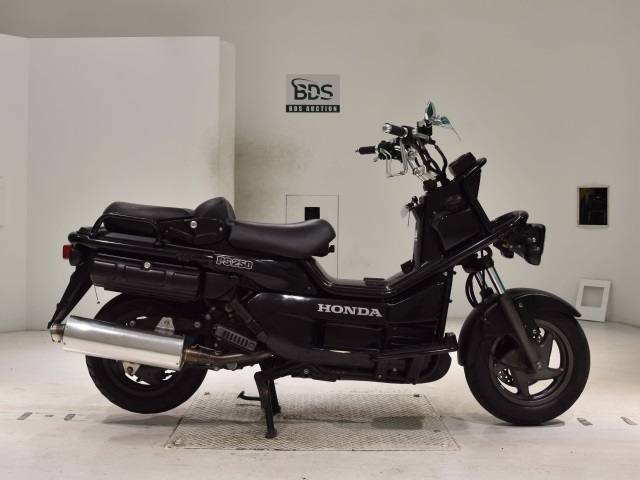 Honda PS250 BIG RUCKUS 2006