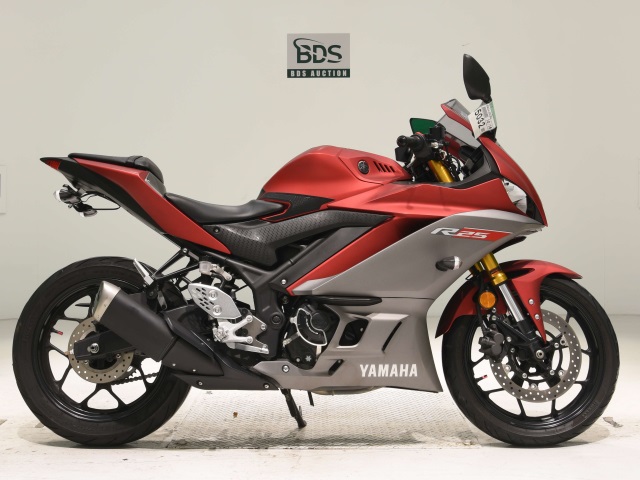 Yamaha YZF-R25 2019