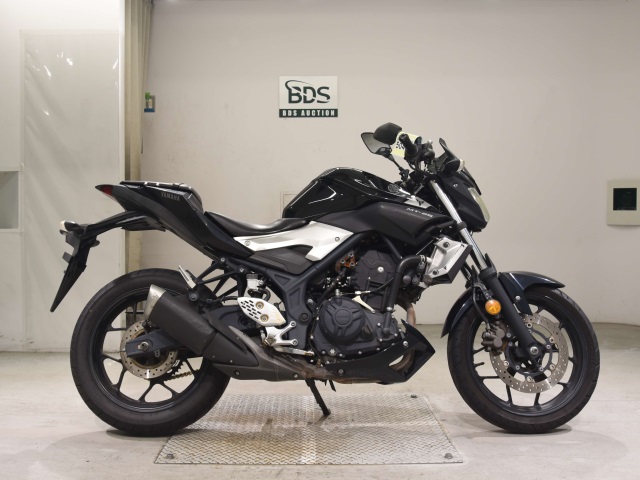 Yamaha MT-25 2016