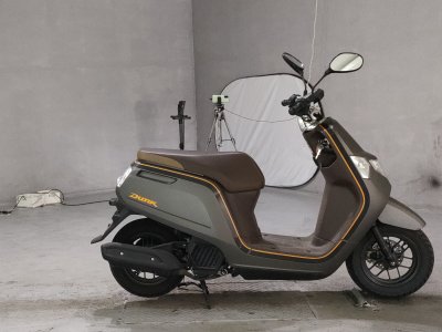 Honda DUNK 2018