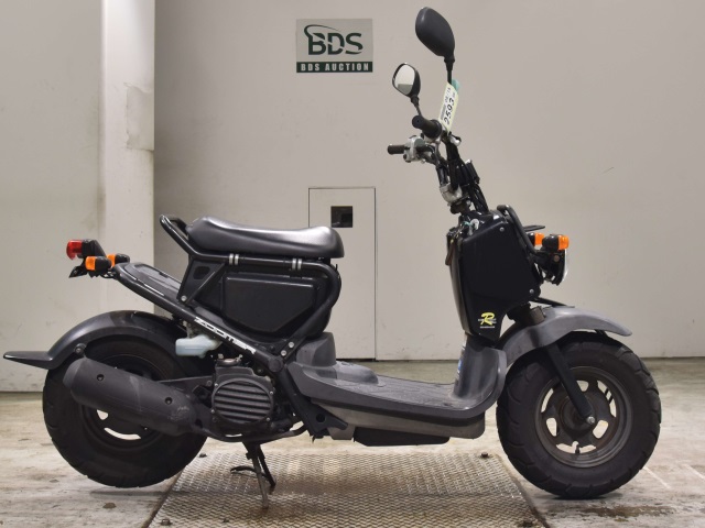 Honda ZOOMER 2009