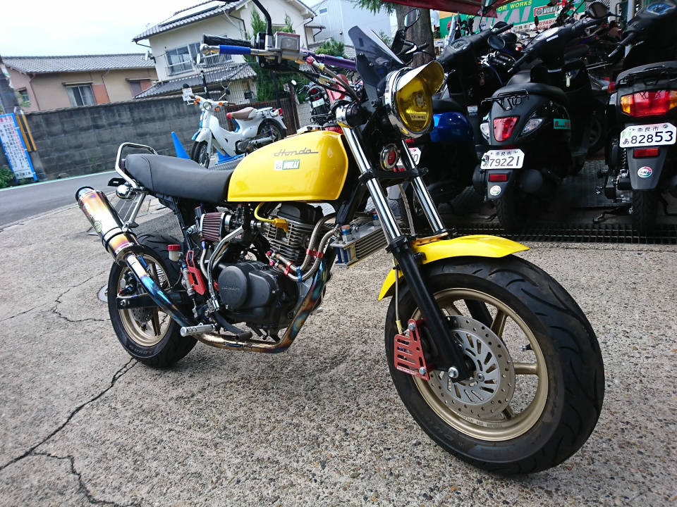 Honda APE100 TYPE D 2010