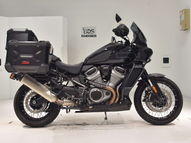 HD PAN AMERICA1250 S 2021