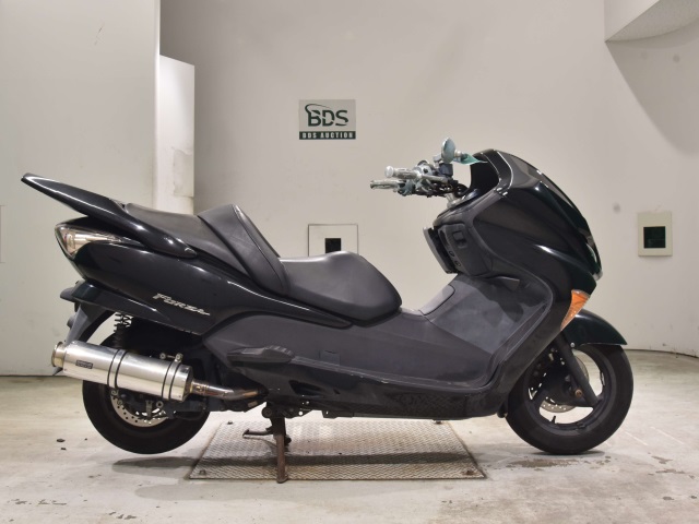 Honda FORZA Z 2006