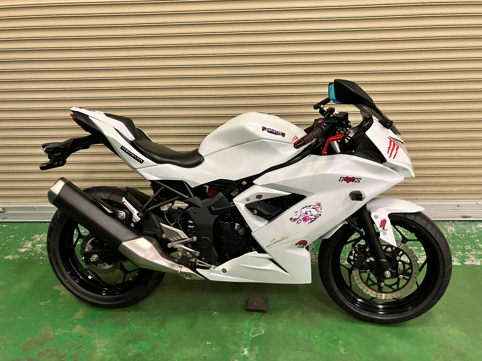 Kawasaki NINJA250 2015