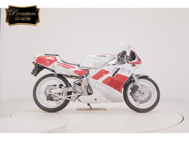 Yamaha TZR250 1989