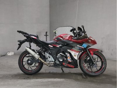 Suzuki GSX250R