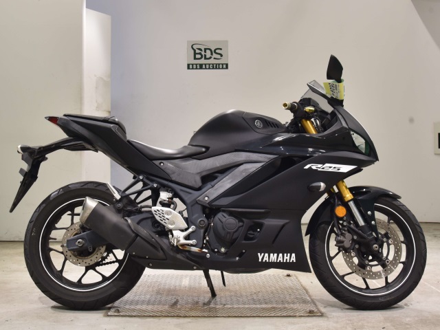 Yamaha YZF-R25 2019
