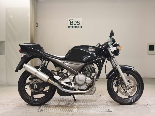 Suzuki GOOSE250 1992