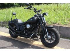 HD CROSS BONES FLSTSB1580 2011