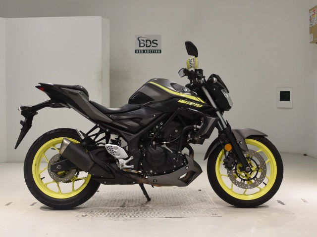 Yamaha MT-25 2018