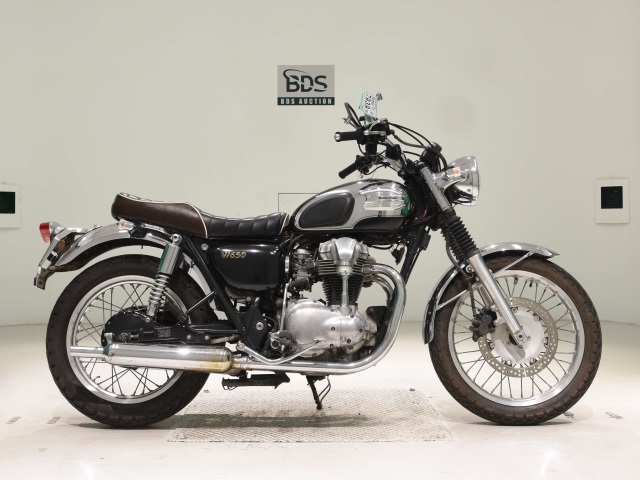 Kawasaki W650 2009