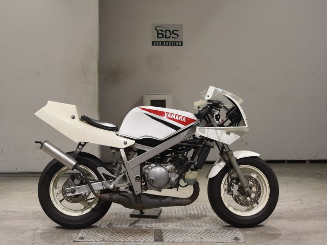 Yamaha TZM50R 1994