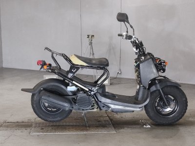 Honda ZOOMER 2009