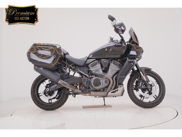 HD PAN AMERICA1250 S 2022