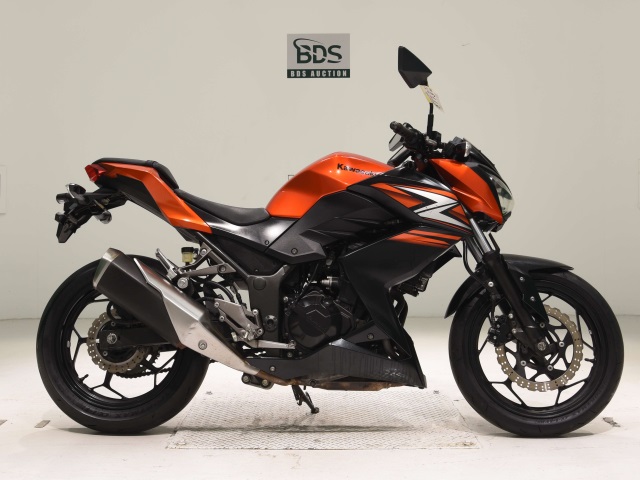 Kawasaki Z250 2014
