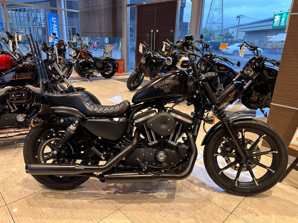 HD SPORTSTER IRON XL883N 2018