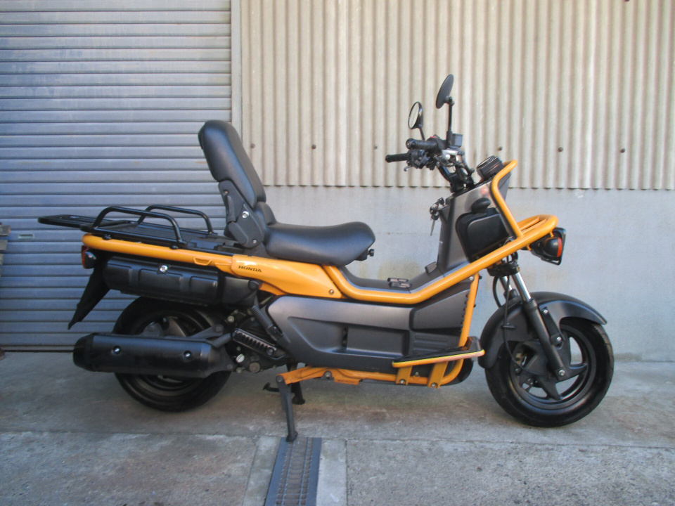 Honda PS250 BIG RUCKUS 2004