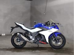 Suzuki GSX250R