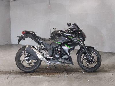 Kawasaki Z250 2013