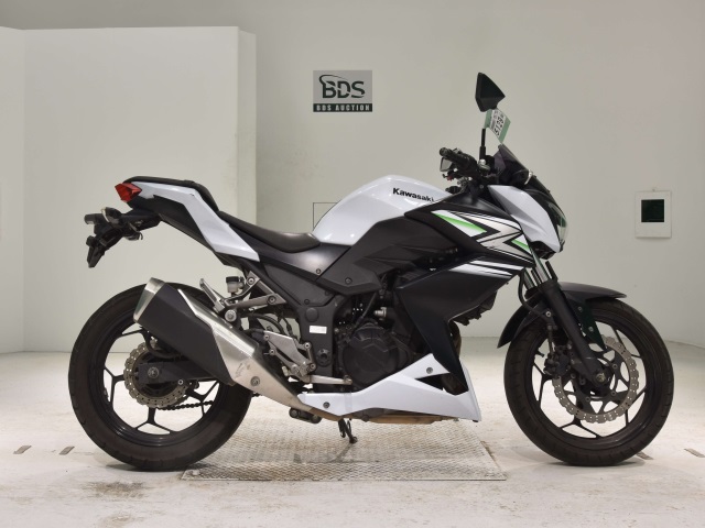 Kawasaki Z250 2014