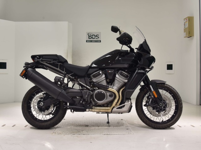 HD PAN AMERICA1250 S 2022