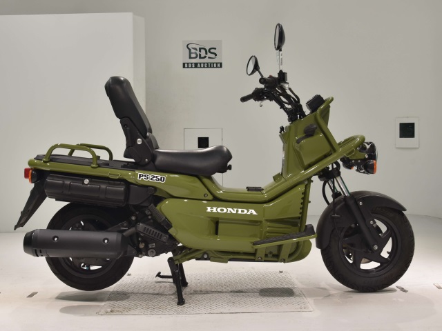 Honda PS250 BIG RUCKUS 2006