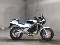 Suzuki RG250