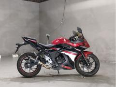 Suzuki GSX250R